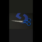 Apex barber Scissors 6inch steel polished Premium Quality